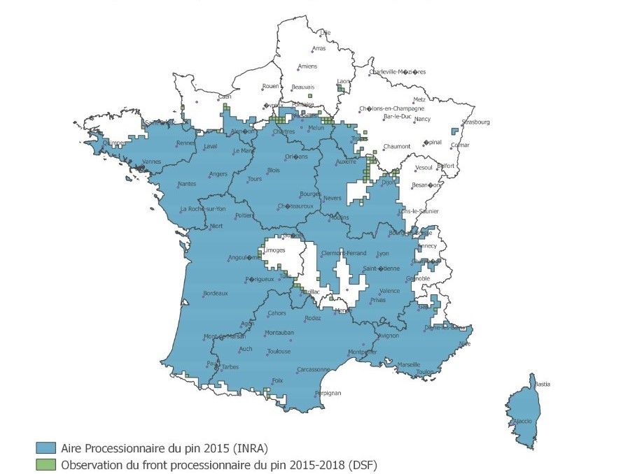 Carte chenilles processionnaires du pin